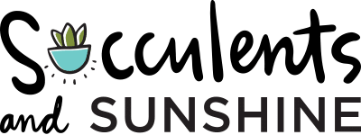 Succulents and Sunshine Logo