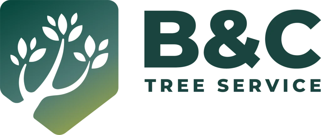 Member featured on Phoenix AZ Family CBS 5