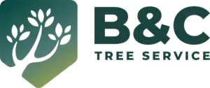B&C Tree Service Logo